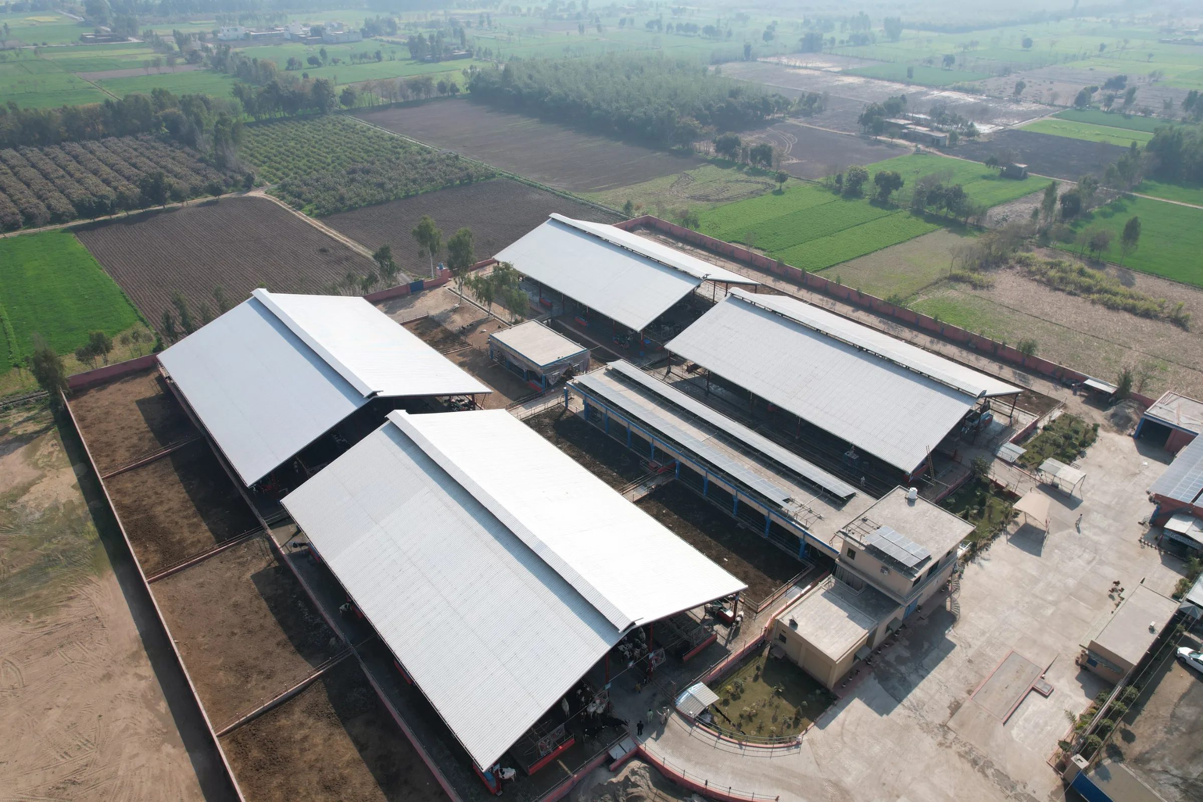 Zam Zam Dairy Farm (800 Cows)