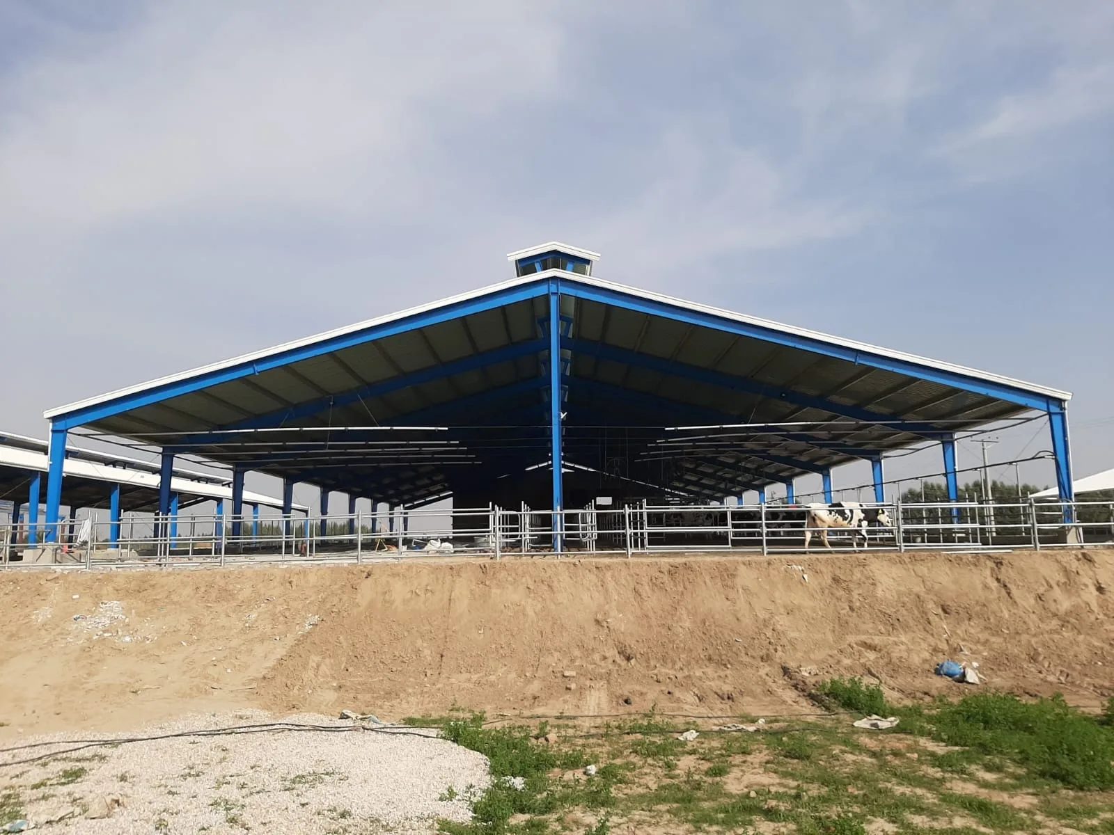 View of Ghani Dairy Farm