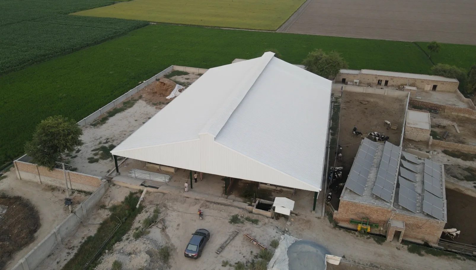 Mughal Dairy Farm