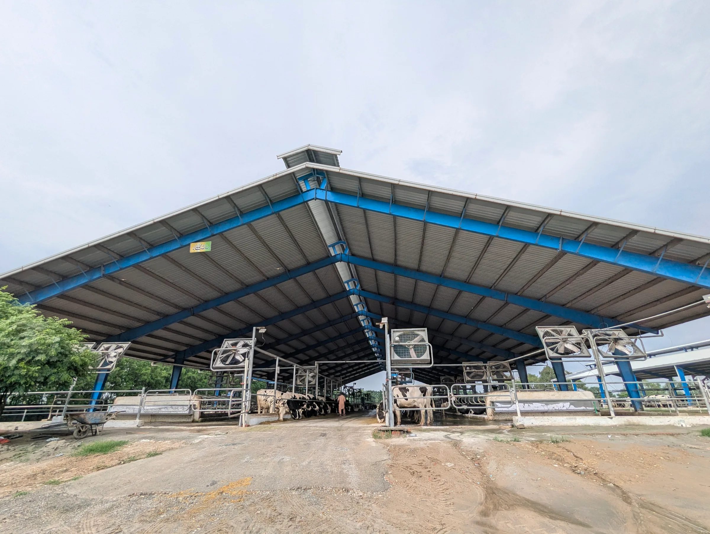 Mona Dairy Farm Shed image