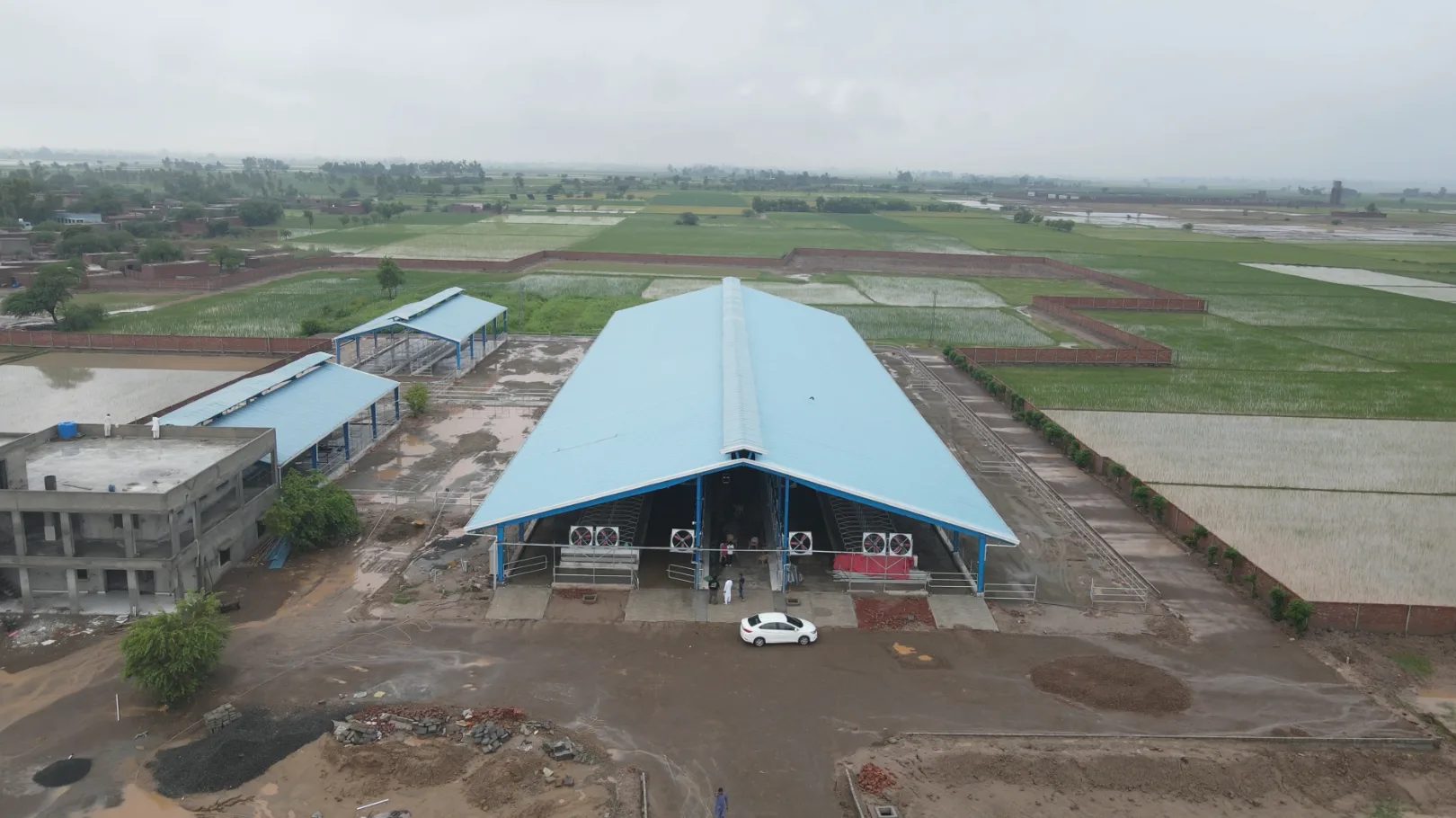 Prime Dairy Farm