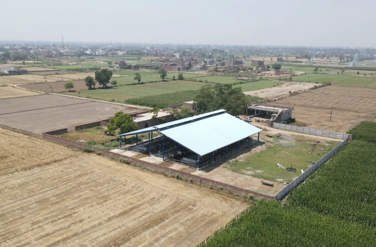 Taj Dairy Farm