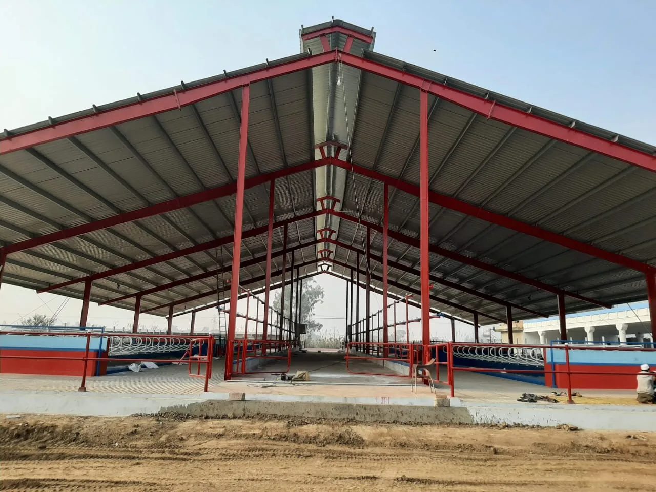 Steel dairy shed frame with a red-trimmed gable roof standing on a levelled site