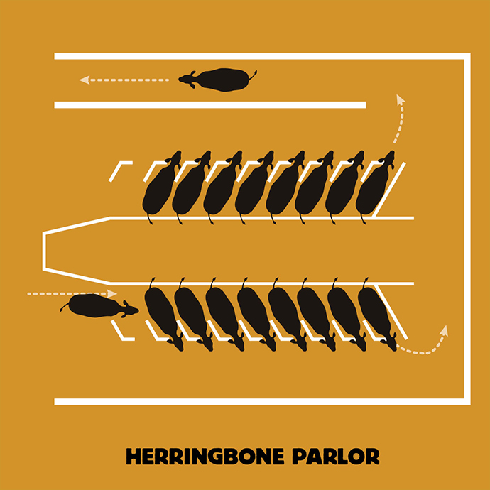 herringbone_parlor