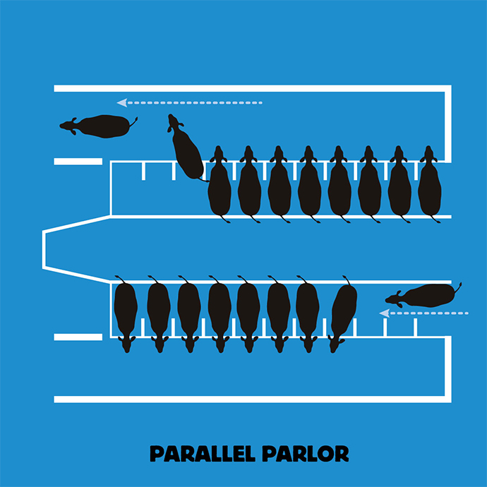 parallel_parlor