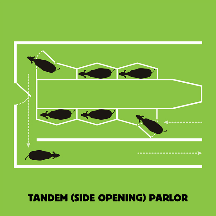 tandem_parlor